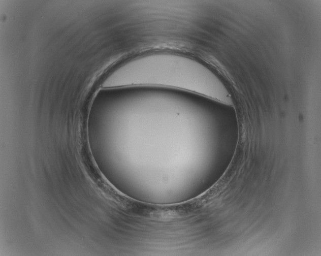 X0000068770444200604281022