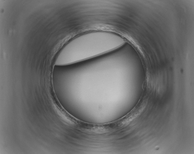 X0000068770445200604281022