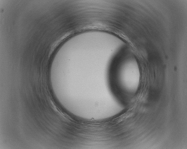 X0000068770446200604281022