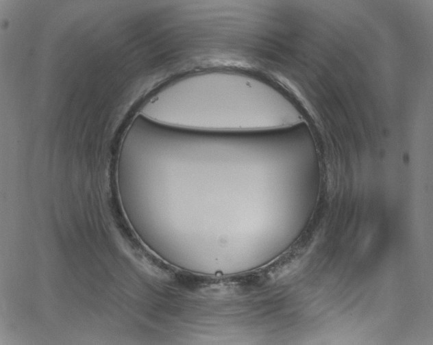 X0000068770447200604281022