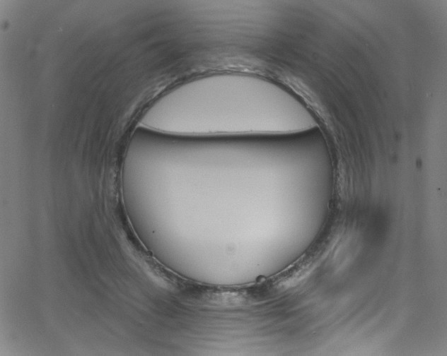 X0000068770449200604281022