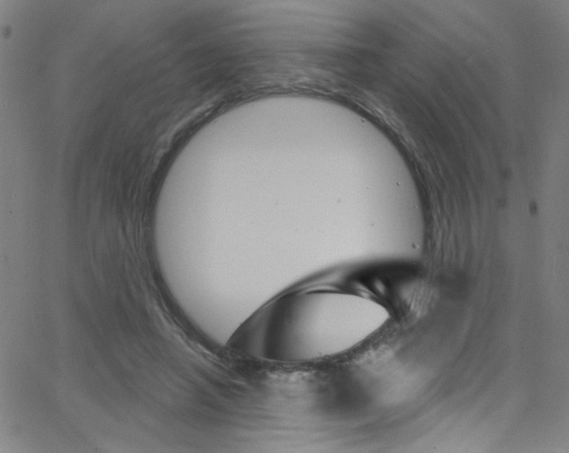 X0000068770450200604281022