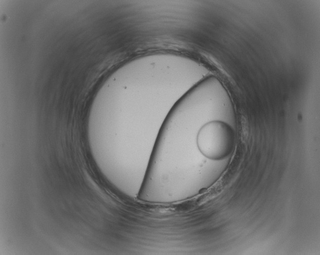 X0000068770451200604281022