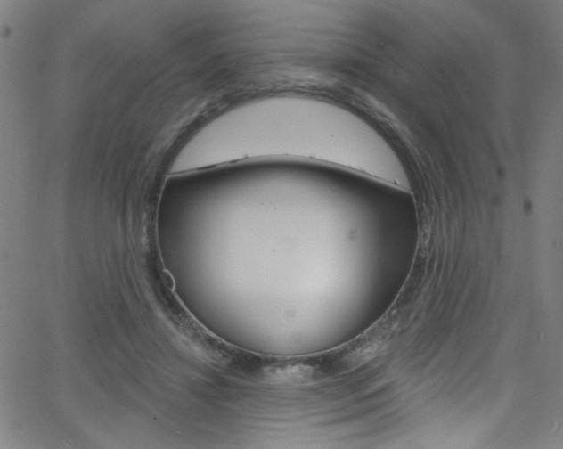 X0000068770452200604281022