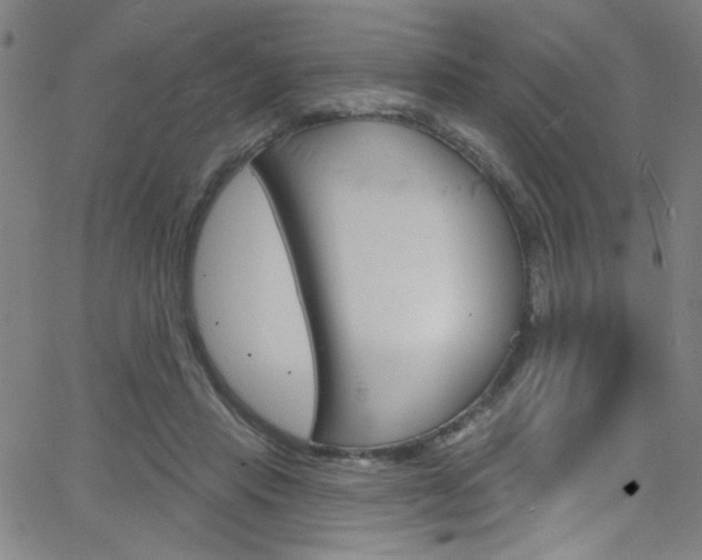 X0000068770453200604281022