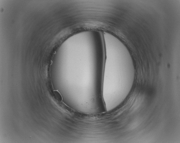 X0000068770454200604281022