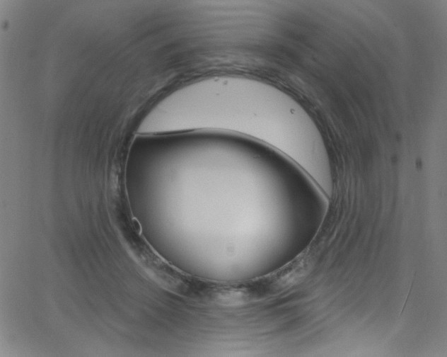 X0000068770456200604281022