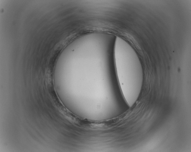 X0000068770457200604281022