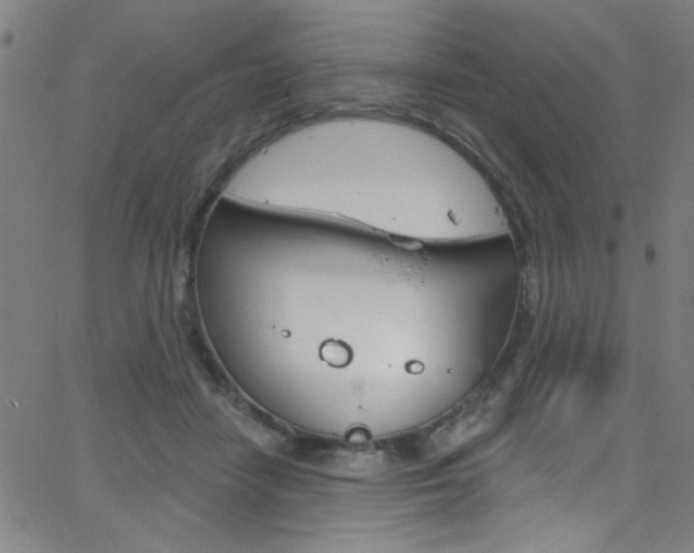 X0000068770458200604281022