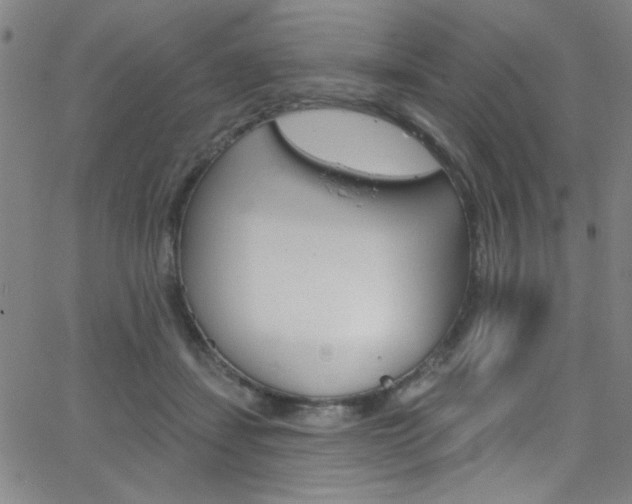 X0000068770459200604281022