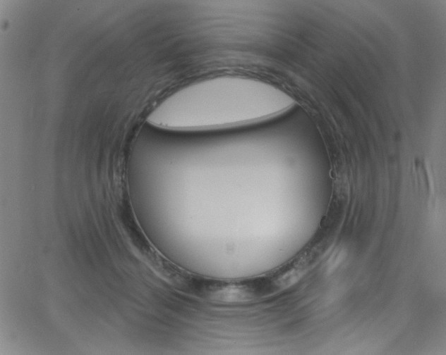 X0000068770460200604281022