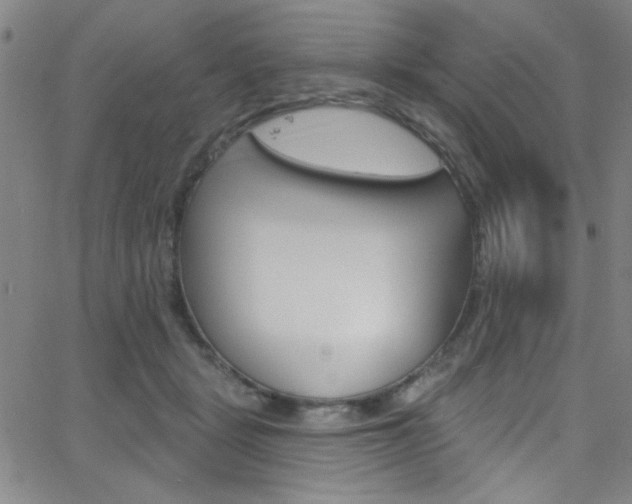 X0000068770461200604281022