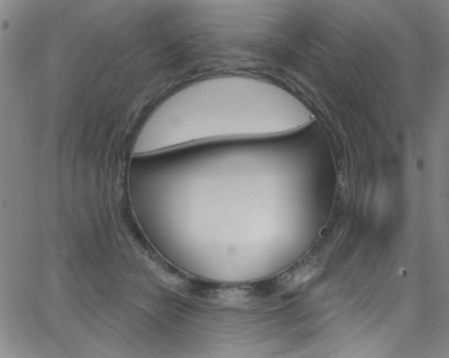 X0000068770462200604281022