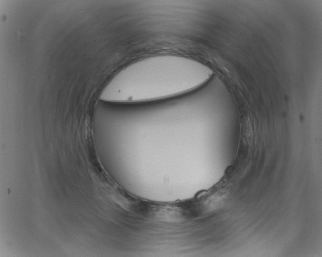 X0000068770463200604281022