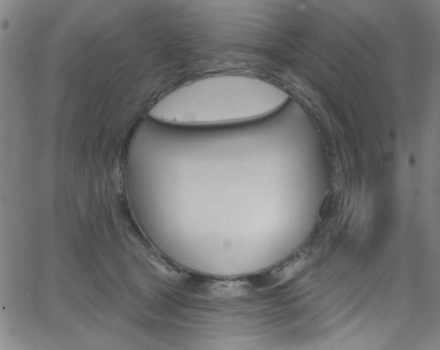 X0000068770465200604281022