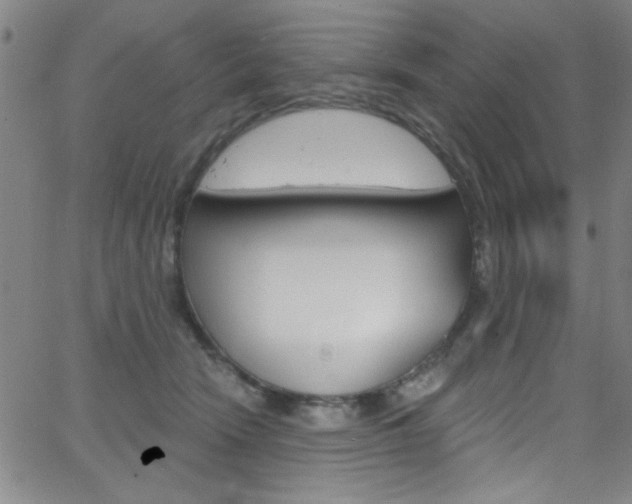 X0000068770466200604281022