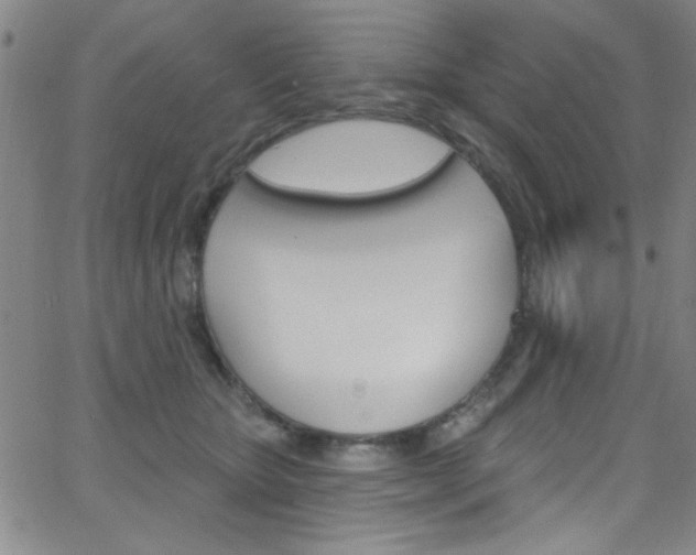 X0000068770467200604281022