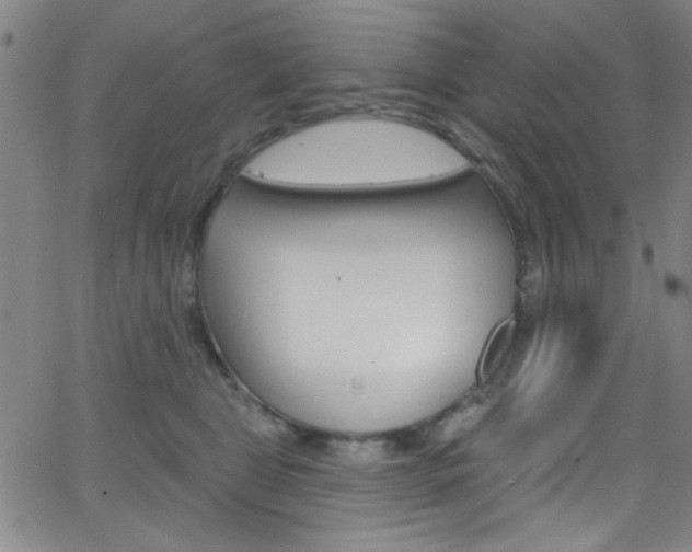 X0000068770469200604281022