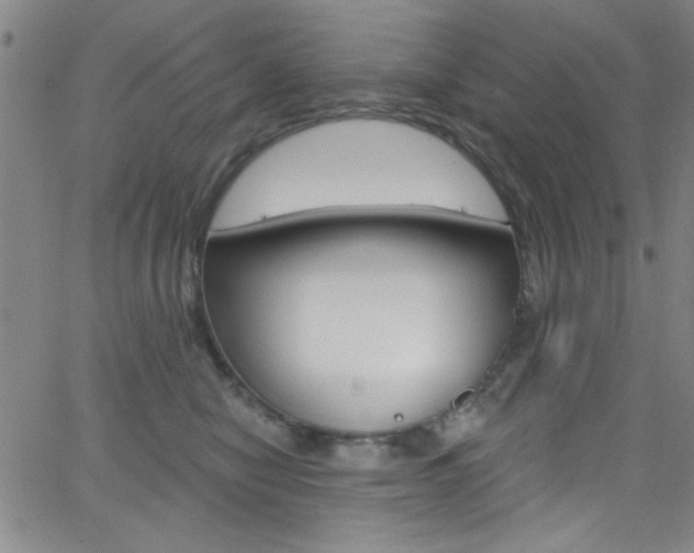 X0000068770470200604281022