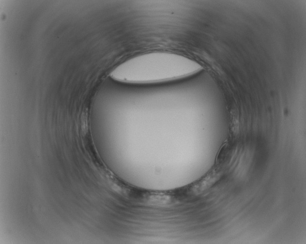 X0000068770471200604281022