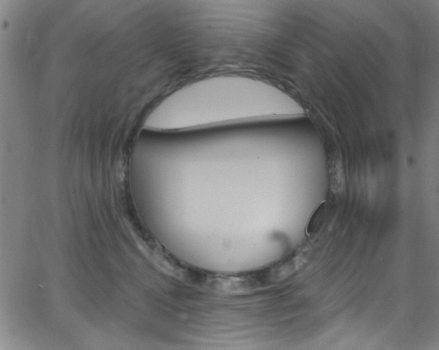 X0000068770472200604281022