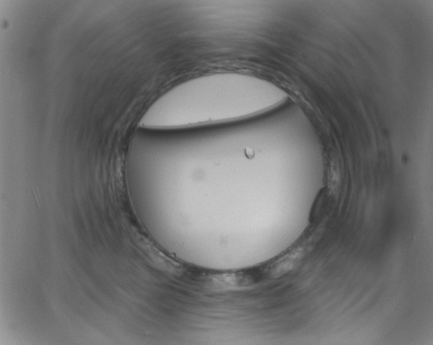 X0000068770473200604281022