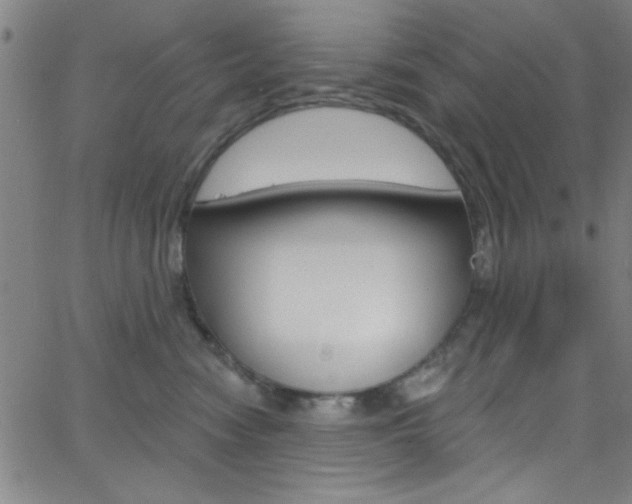 X0000068770474200604281022