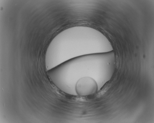 X0000068770475200604281022