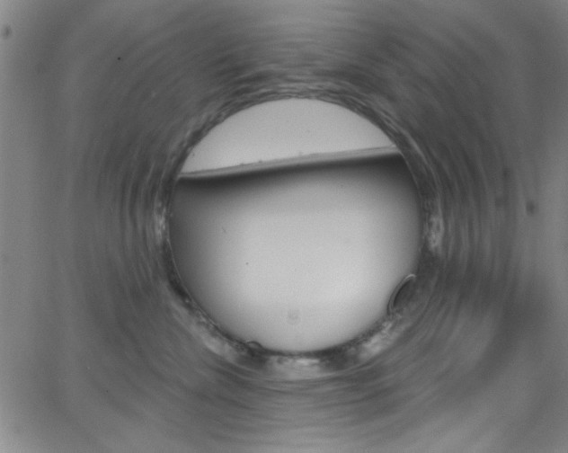 X0000068770476200604281022