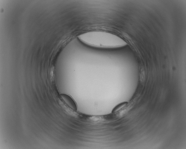 X0000068770477200604281022