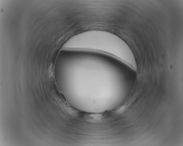 X0000068770478200604281022