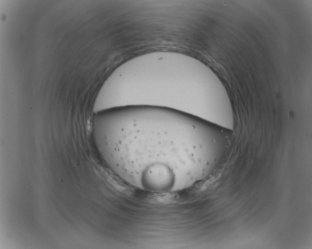 X0000068770479200604281022