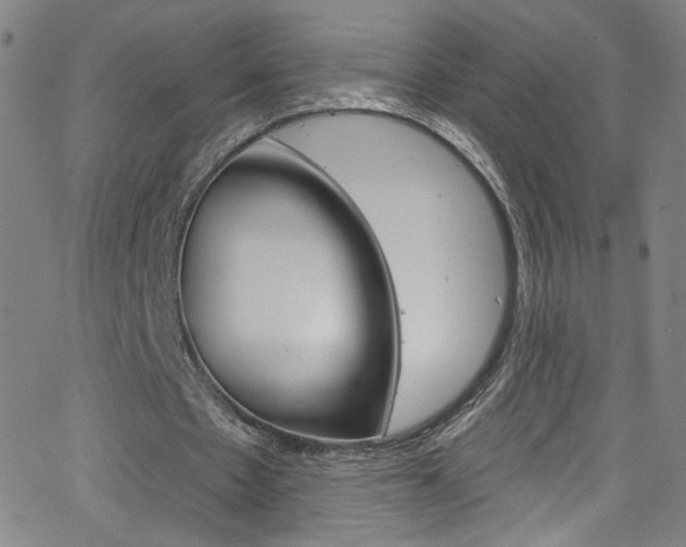 X0000068770481200604281022