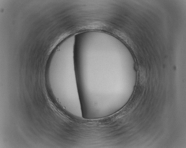 X0000068770482200604281022