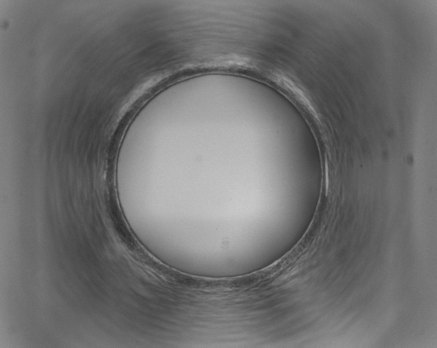 X0000068770483200604281021