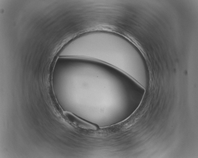 X0000068770485200604281021