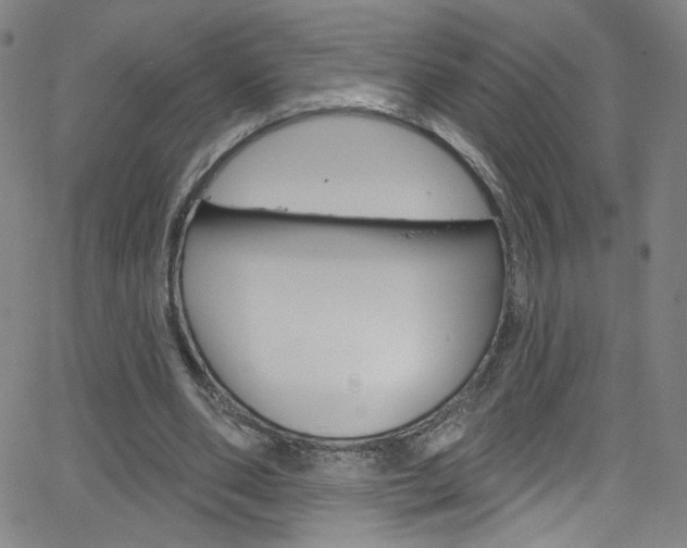 X0000068770486200604281021