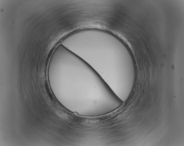 X0000068770487200604281021