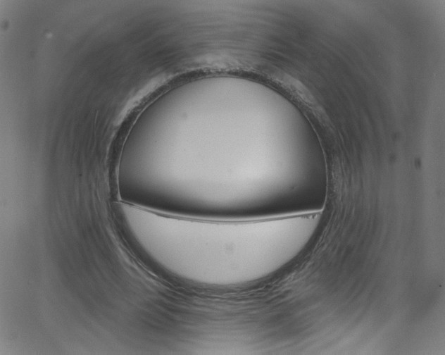 X0000068770488200604281021