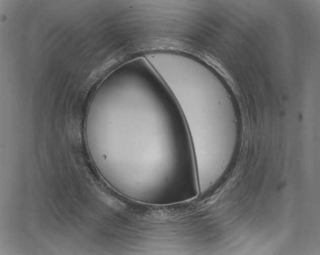 X0000068770489200604281021