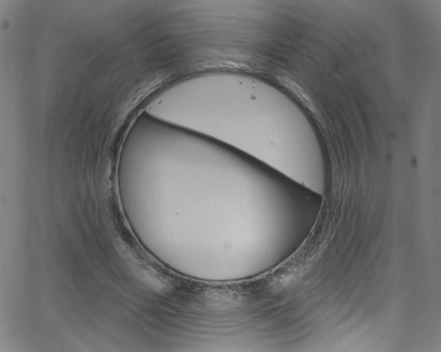 X0000068770490200604281021