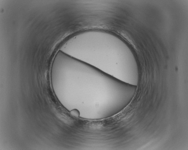 X0000068770491200604281021