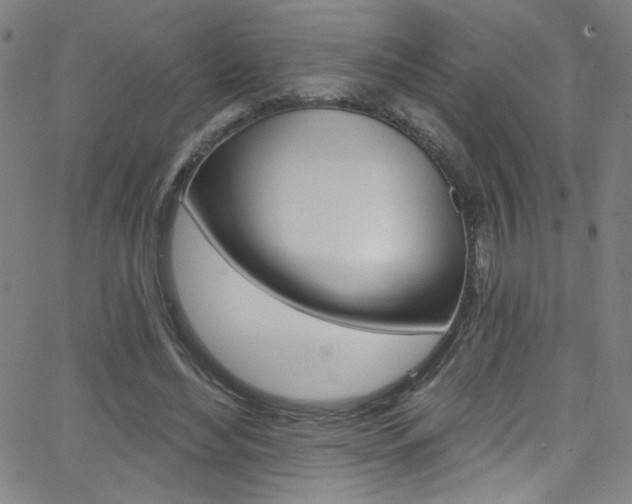 X0000068770492200604281021