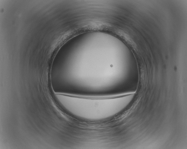 X0000068770493200604281021