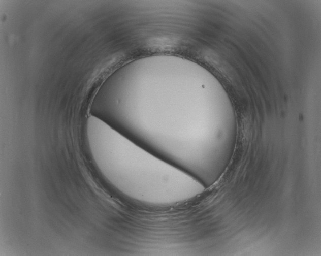 X0000068770494200604281021