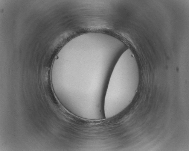 X0000068770495200604281021