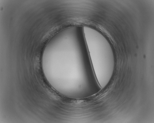 X0000068770497200604281021