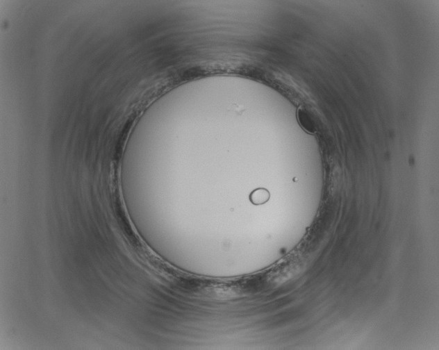 X0000068770498200604281021