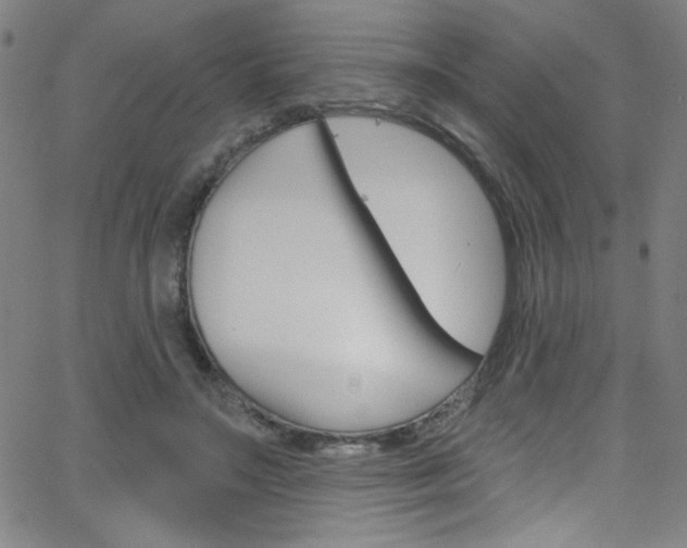 X0000068770499200604281021