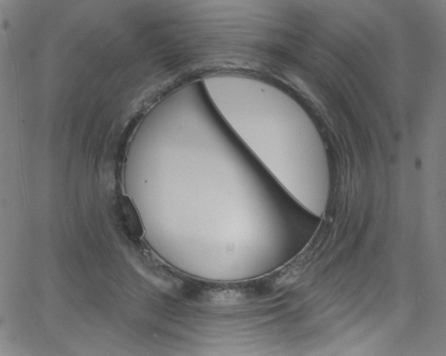 X0000068770500200604281021